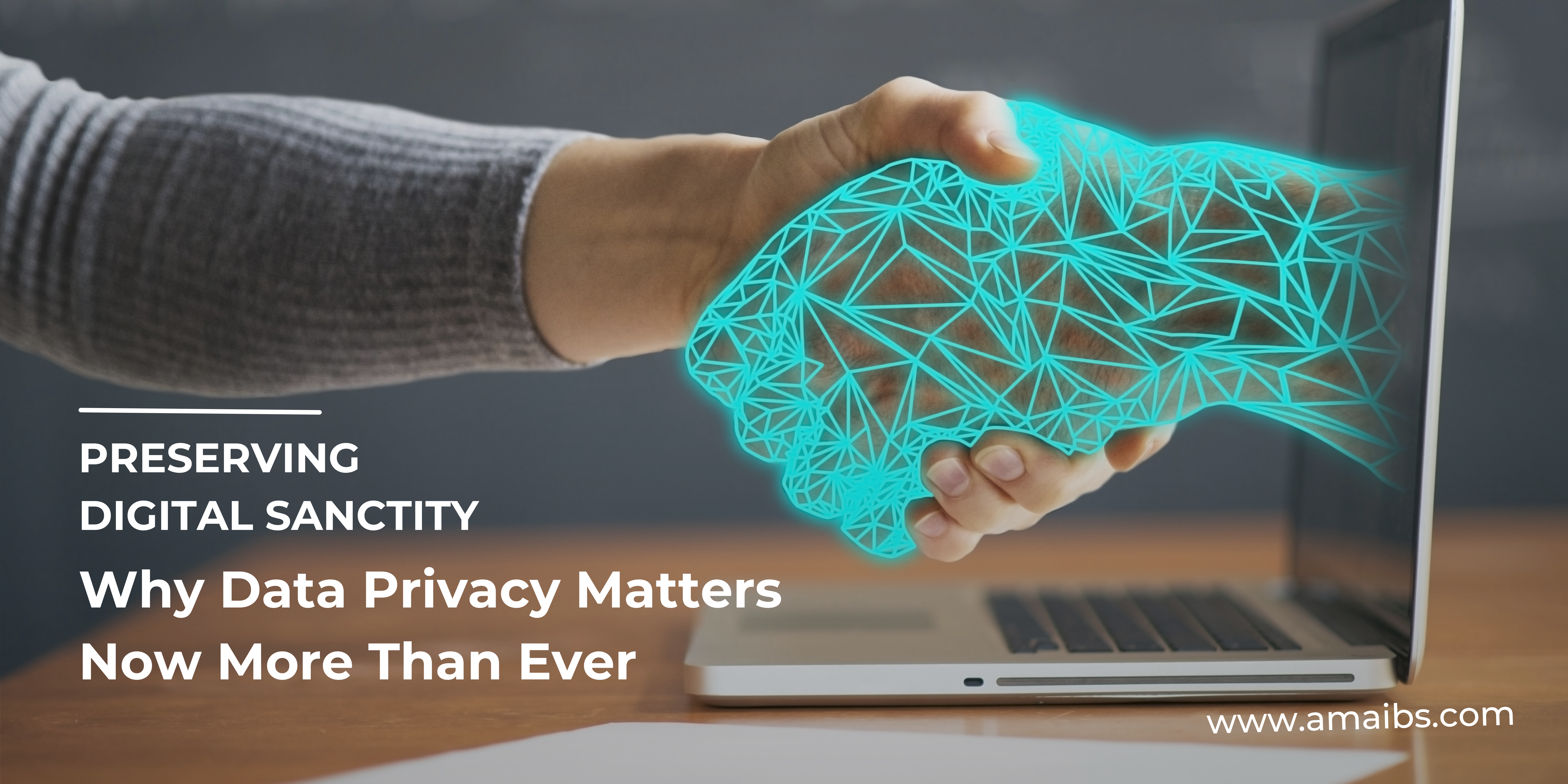 Preserving the Digital Sanctity: Why Data Privacy is More Important Than Ever